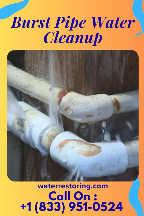 Burst Pipe Water Cleanup in Grandin, ND