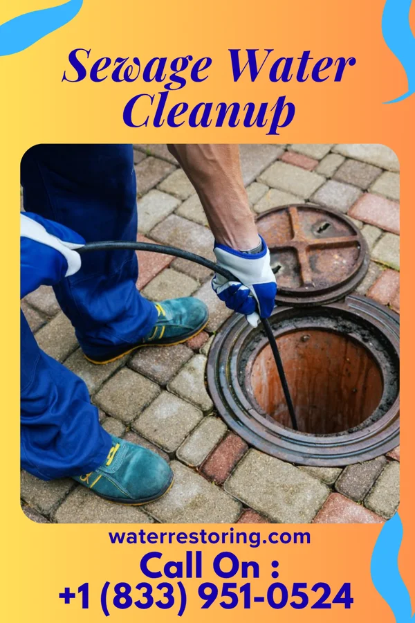 Sewage Water Cleanup in Grandin, ND